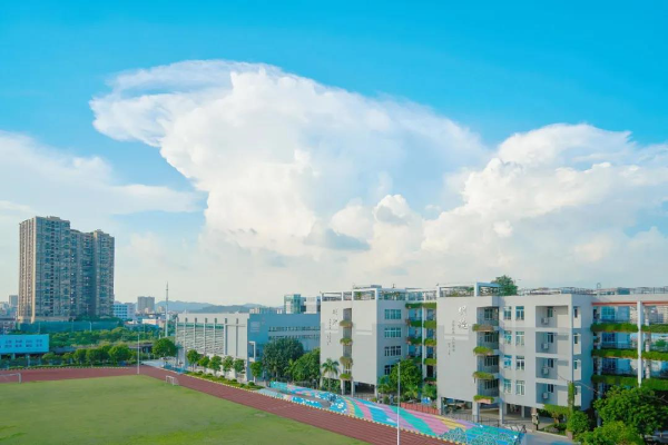 光明区实验学校通过2020年国际生态学校评审，喜获“绿旗”荣誉2.jpg