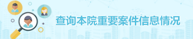 查询本院重要案件信息情况