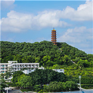 光明区红花山公园掠影_副本标题.jpg