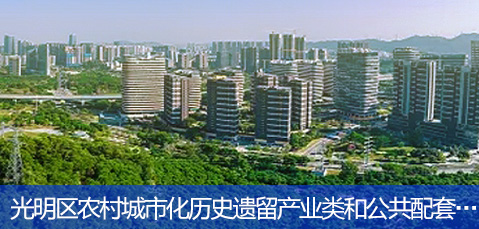 光明区农村城市化历史遗留产业类和公共配套类违法建筑处理实施细则