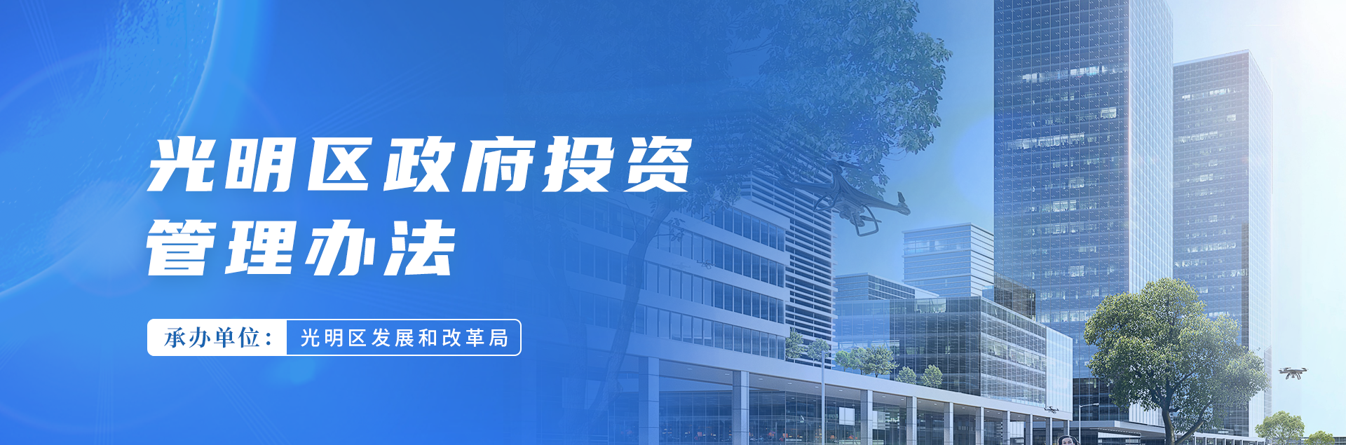光明区政府投资管理办法