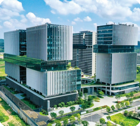 脑解析与脑膜拟设施