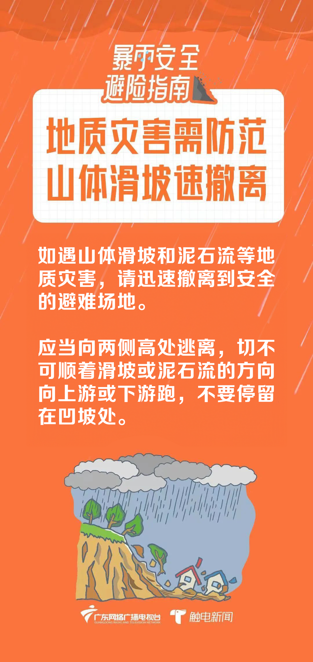 4251595 (4).png