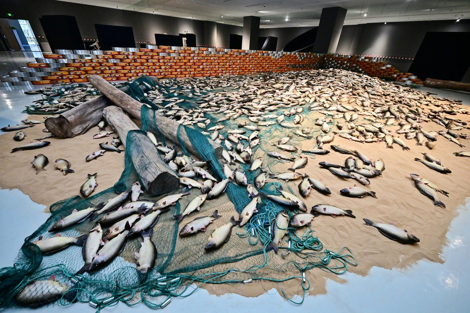 Chinese Carp.jpg