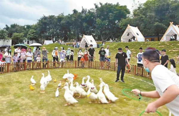 趣玩生活节等你来 光明农场推出套鸭得鸭,彩虹风火轮,葡萄开放日等