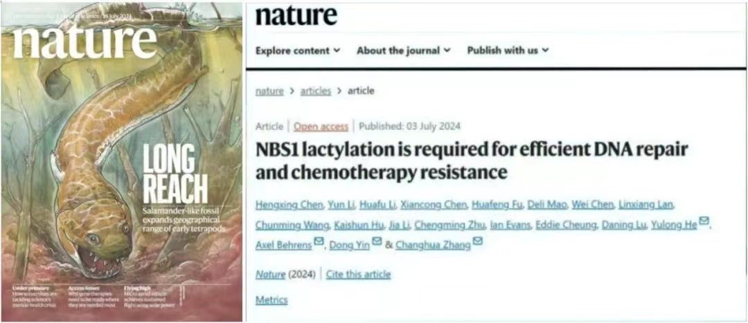 Nature.jpg