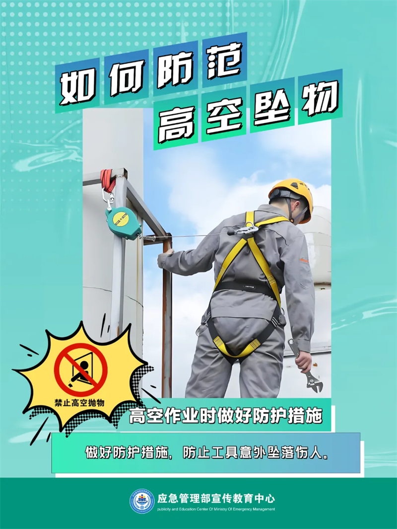 12007582 (6).png