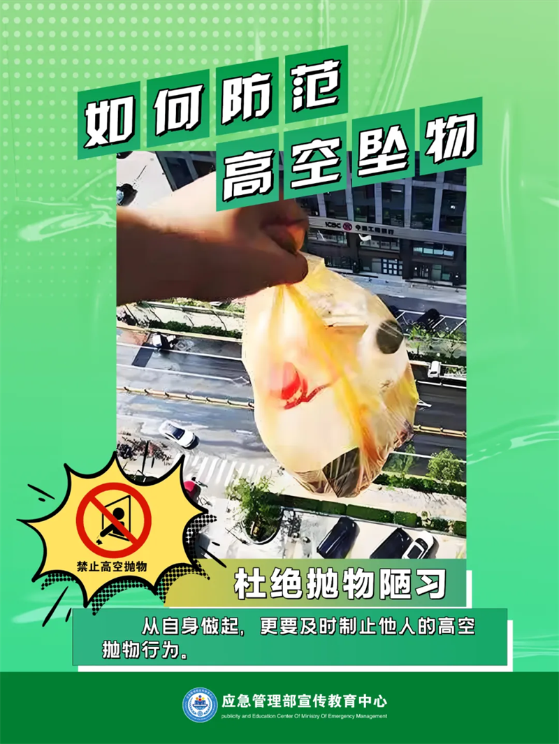 12007582 (5).png