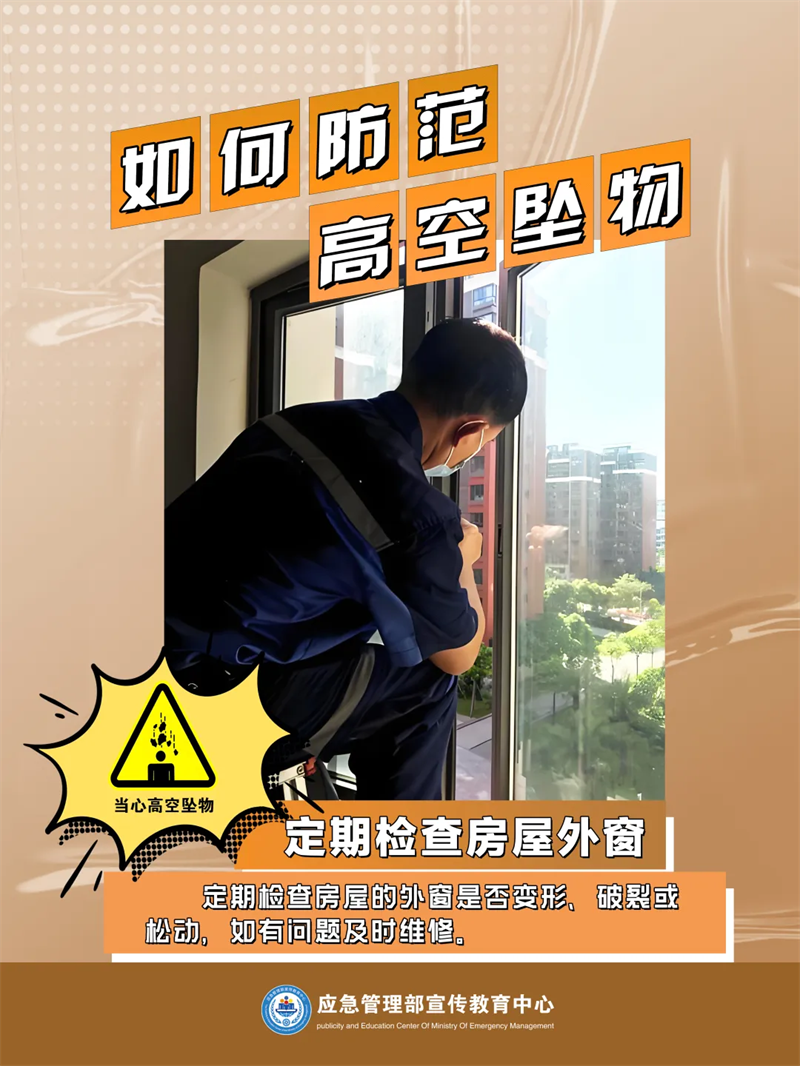 12007582 (4).png
