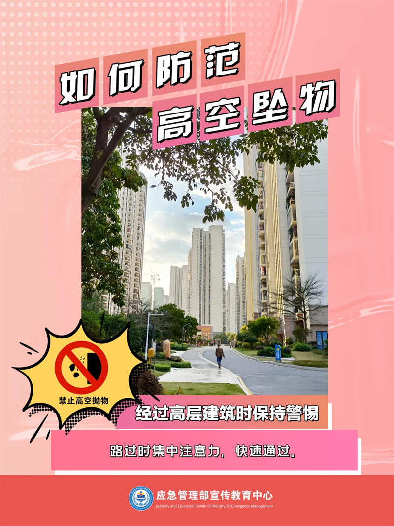 12007582 (1).png