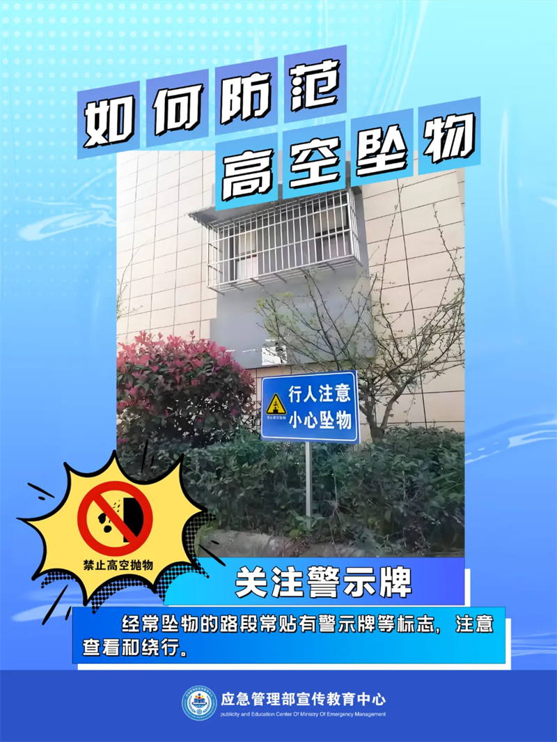 12007582.png