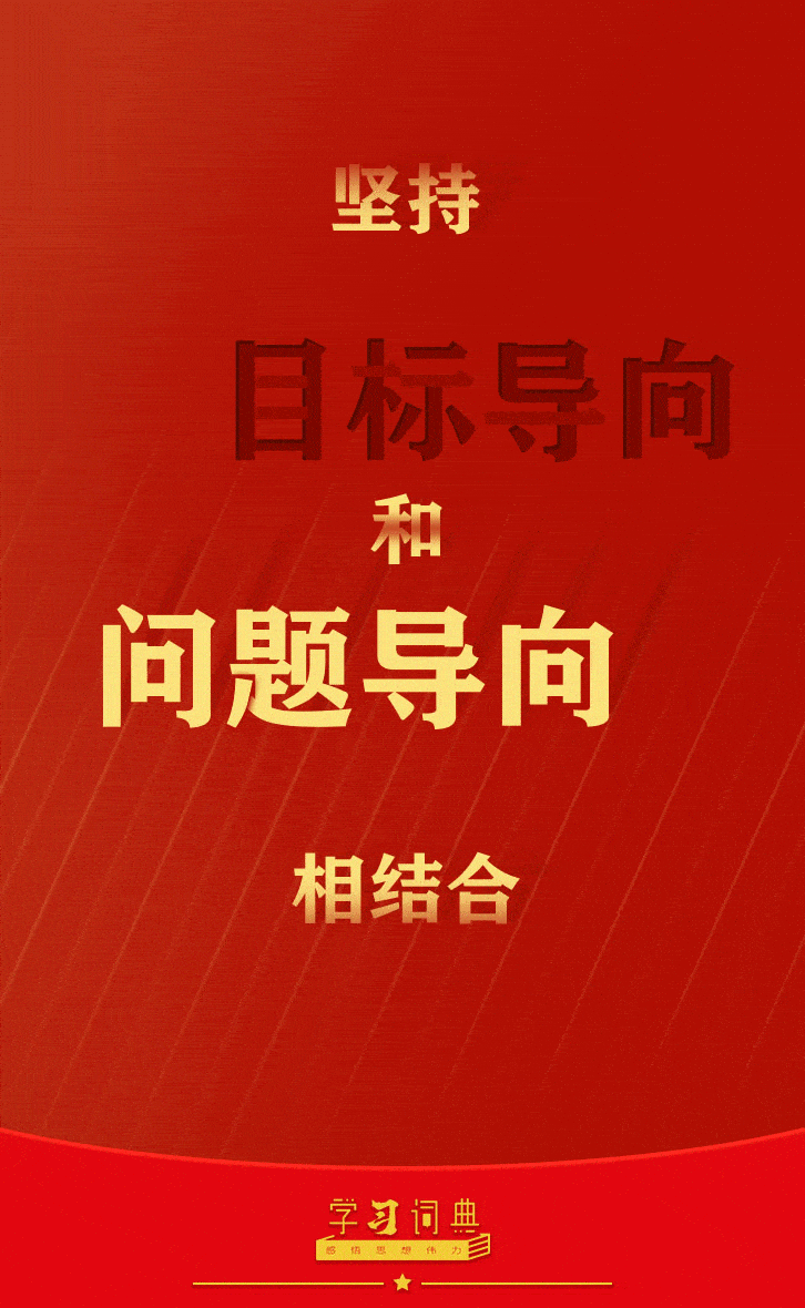 17.坚持目标导向和问题导向相结合1.gif