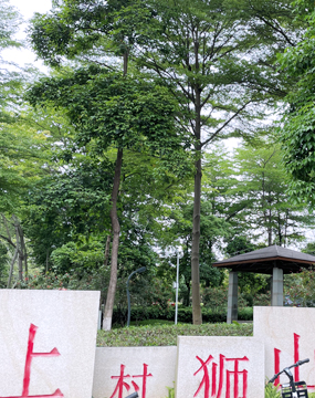 上村狮山公园