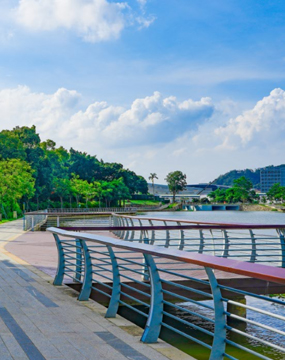 翠湖公园