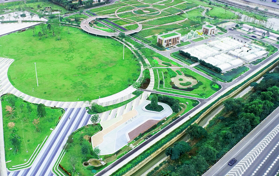 楼村湿地公园