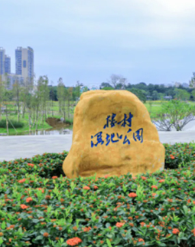 楼村湿地公园