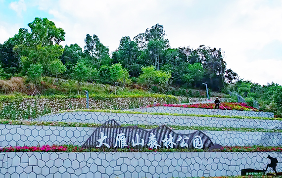 大雁山森林公园
