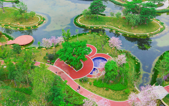 鹅颈水湿地公园