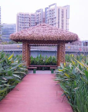 鹅颈水湿地公园