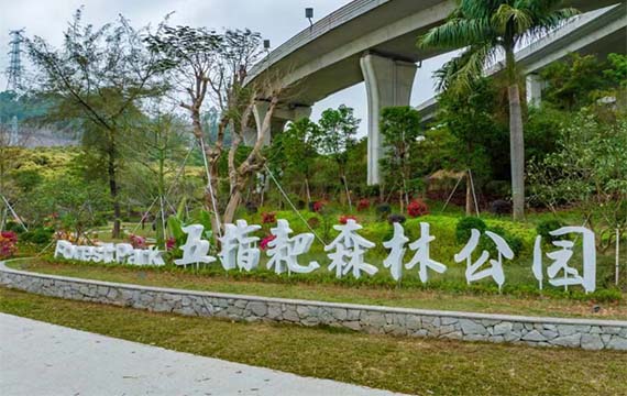 五指耙森林公园