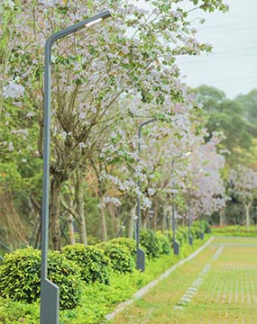 五指耙森林公园